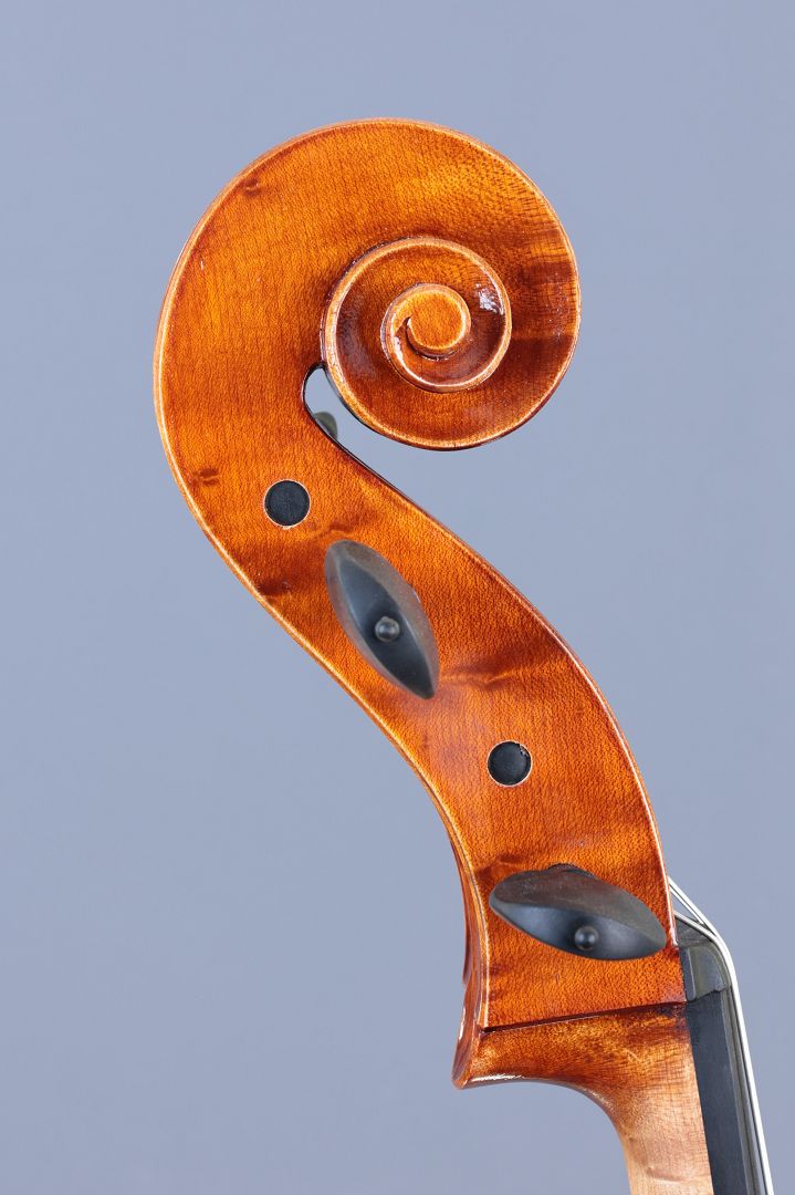 Leonhardt Rainer W. - Mittenwald Anno 2025 - Guadagnini - wild birds-eye - C-426